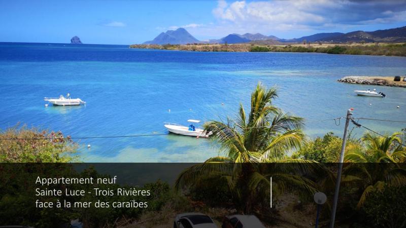 T2 Les Pieds Dans L'Eau Face A La Mer Des Caraibes Sainte Luce - Trois Rivieres מראה חיצוני תמונה
